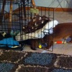 I spy with my little eye something that begins with F.