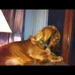 What’s it like to run away?